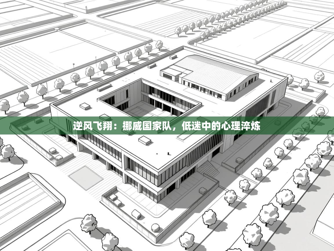 逆风飞翔:挪威国家队,低迷中的心理淬炼 第2张